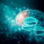 Image of brain