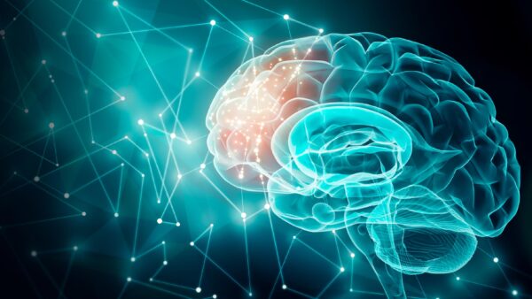 Image of brain