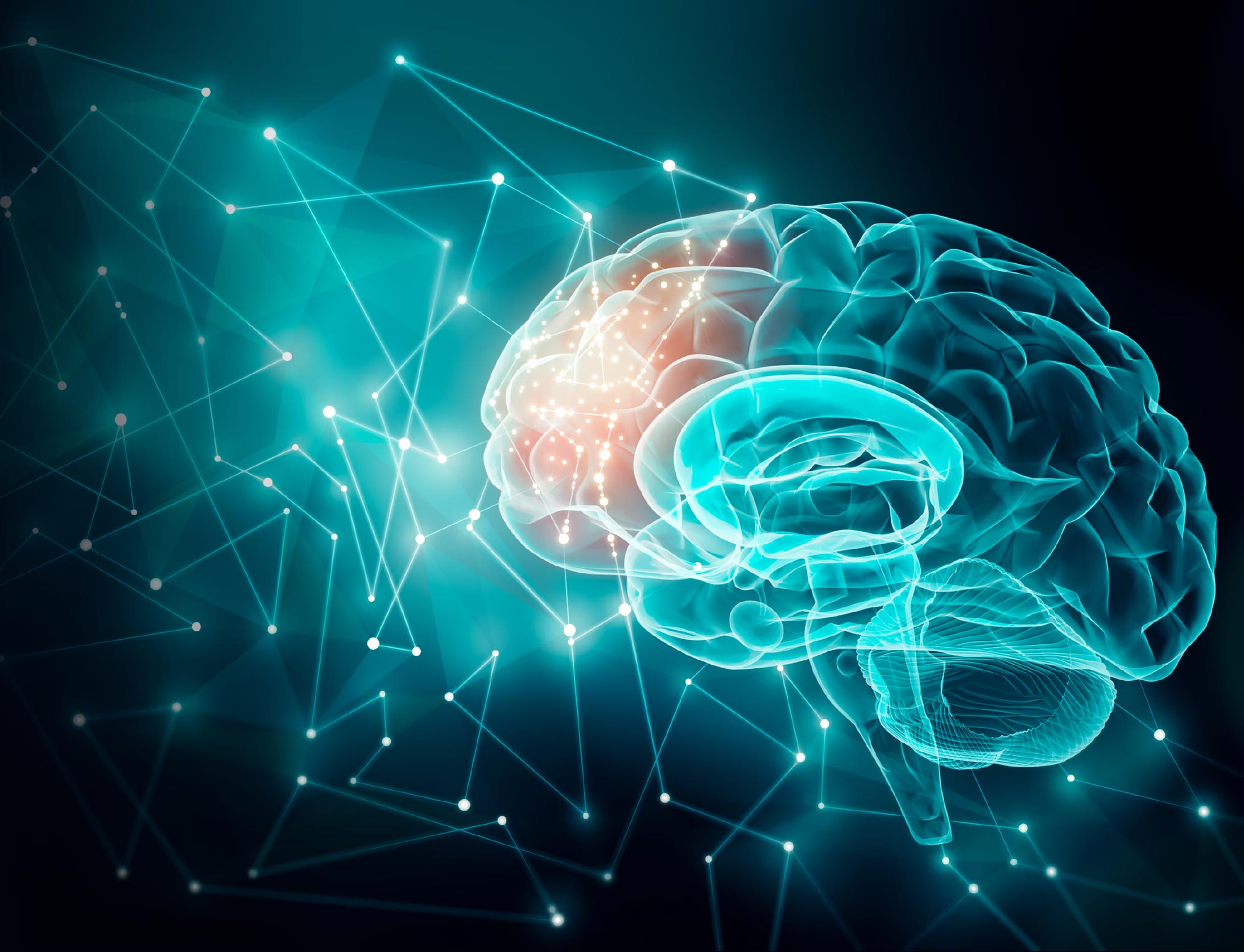 Image of brain